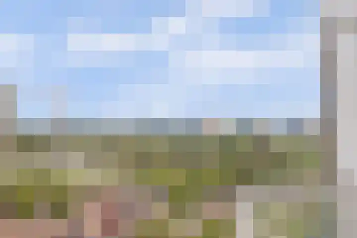 Goudenregenplein 254 Spijkenisse thumbnail 31