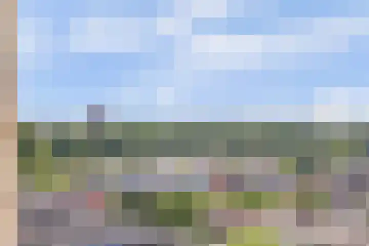 Goudenregenplein 254 Spijkenisse thumbnail 32