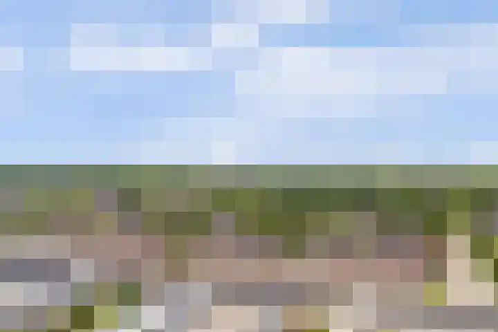 Goudenregenplein 254 Spijkenisse thumbnail 33