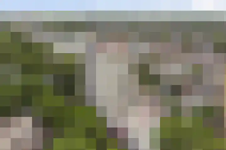 Goudenregenplein 254 Spijkenisse thumbnail 34
