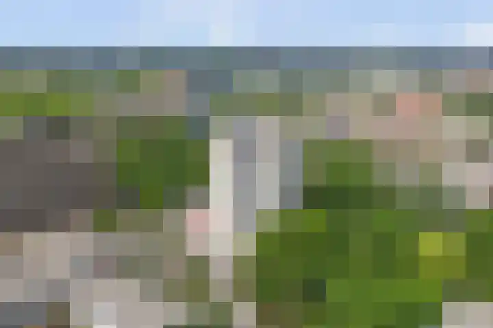 Goudenregenplein 254 Spijkenisse thumbnail 35