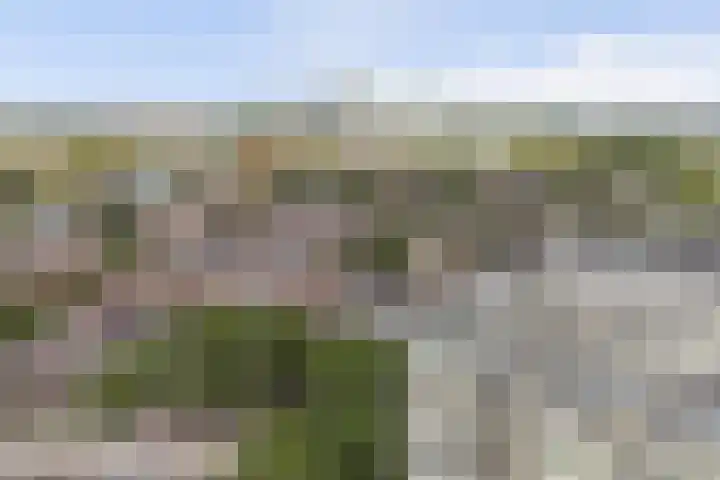 Goudenregenplein 254 Spijkenisse thumbnail 36