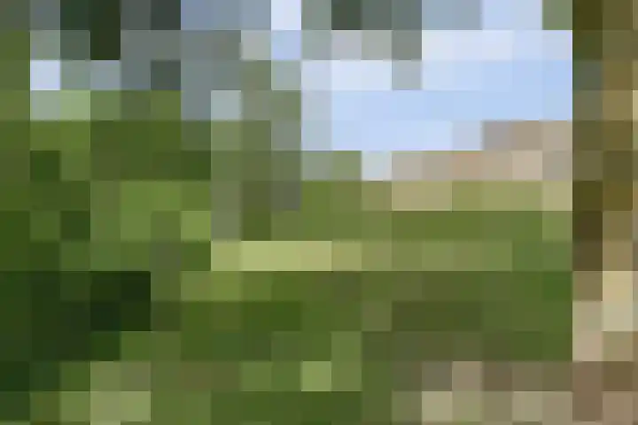 Goudenregenplein 254 Spijkenisse thumbnail 37