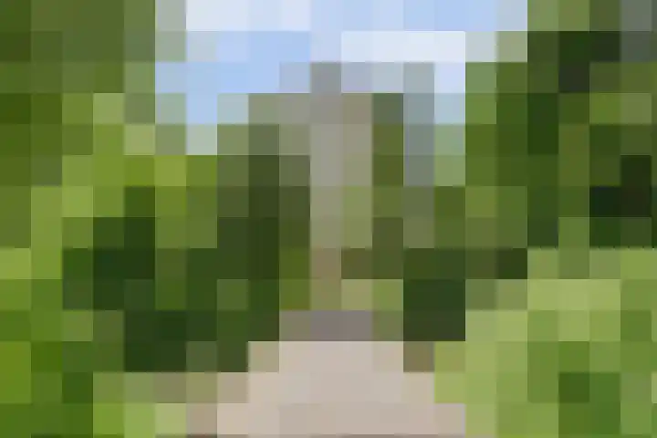 Goudenregenplein 254 Spijkenisse thumbnail 38