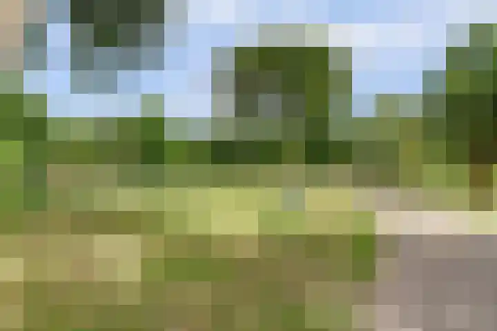 Goudenregenplein 254 Spijkenisse thumbnail 39