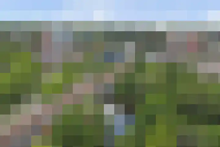 Goudenregenplein 254 Spijkenisse thumbnail 40