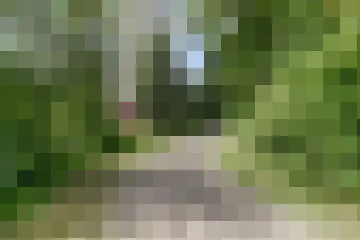 Goudenregenplein 254 Spijkenisse thumbnail 42