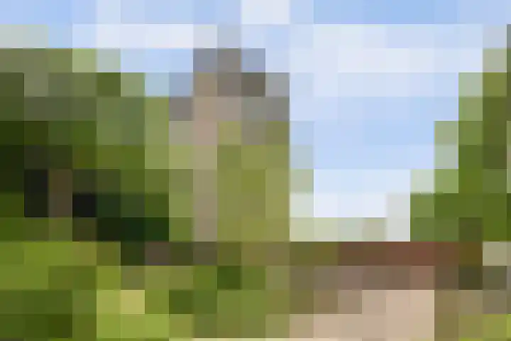 Goudenregenplein 254 Spijkenisse thumbnail 43