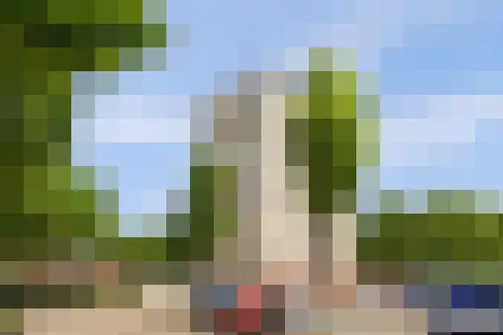 Goudenregenplein 254 Spijkenisse thumbnail 44