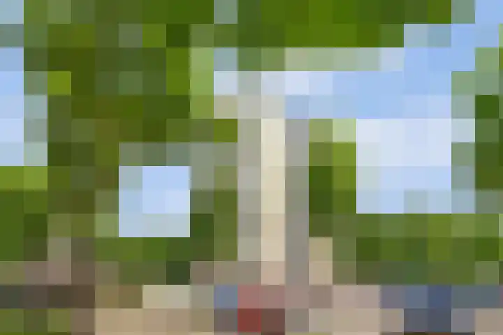Goudenregenplein 254 Spijkenisse thumbnail 46