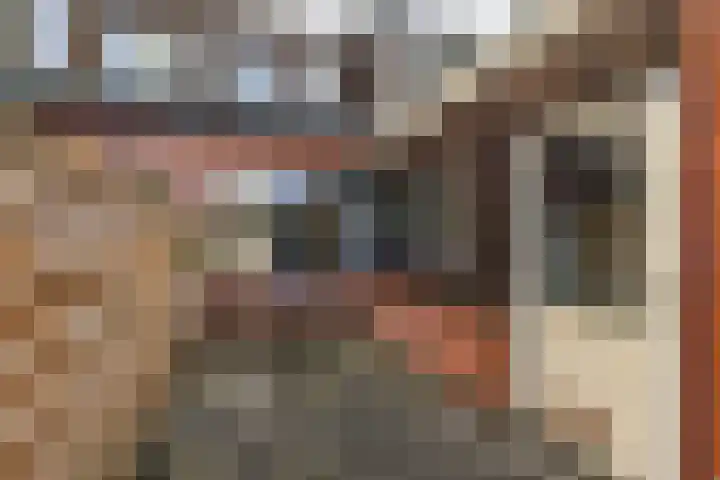 Goudenregenplein 5 Groningen thumbnail 18