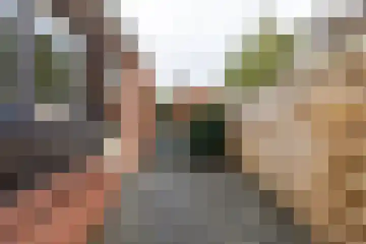 Goudenregenplein 5 Groningen thumbnail 19