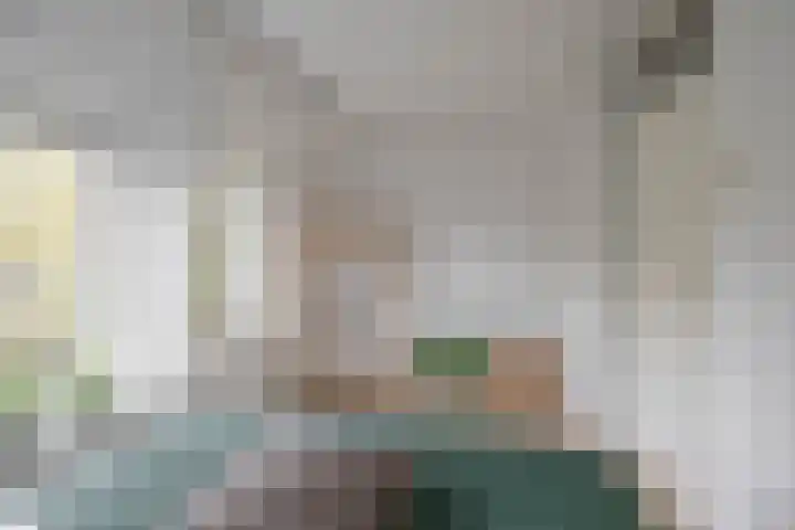 Goudenregenplein 5 Groningen thumbnail 22