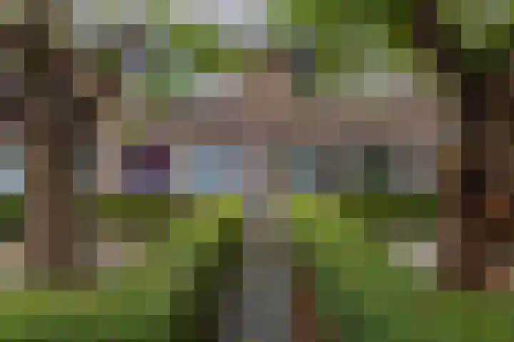 Goudenregenplein 5 Groningen thumbnail 28