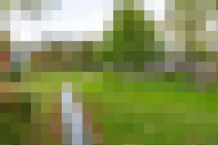 Goudenregenplein 5 Groningen thumbnail 30