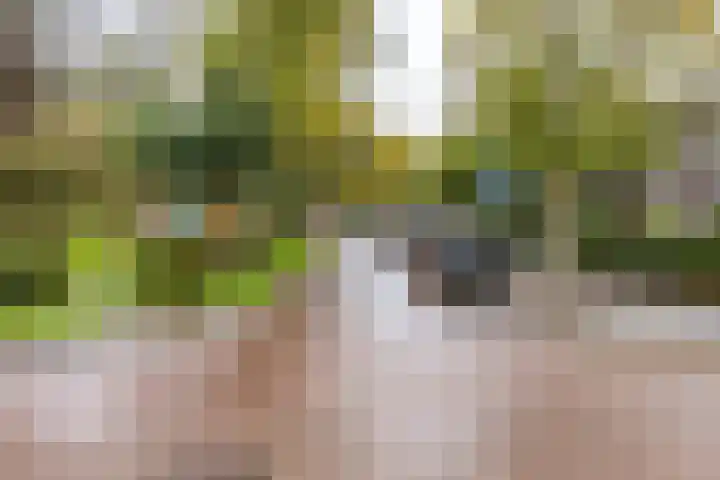 Goudenregenplein 5 Groningen thumbnail 31