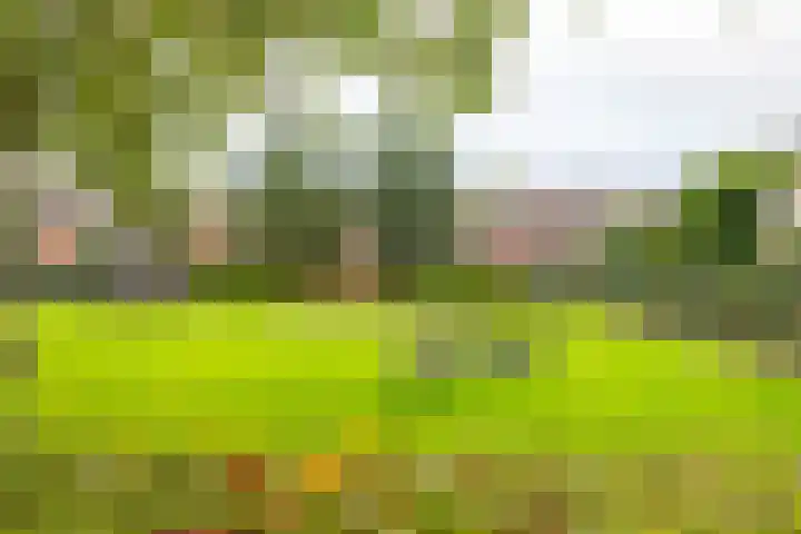 Goudenregenplein 5 Groningen thumbnail 32