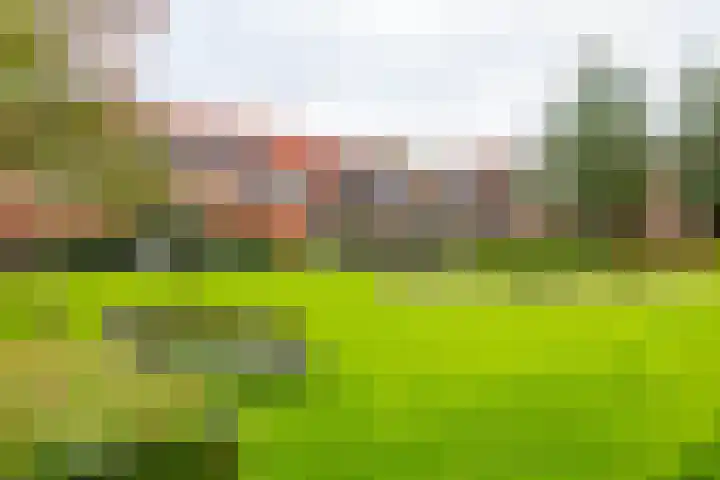 Goudenregenplein 5 Groningen thumbnail 33