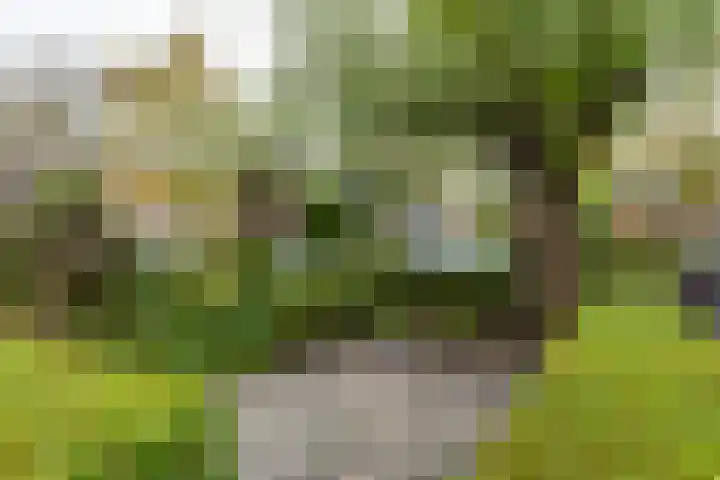 Goudenregenplein 5 Groningen thumbnail 4