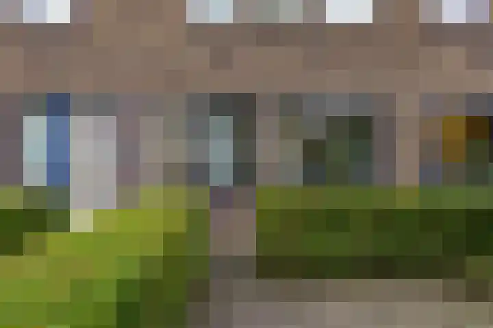 Goudenregenplein 5 Groningen thumbnail 5
