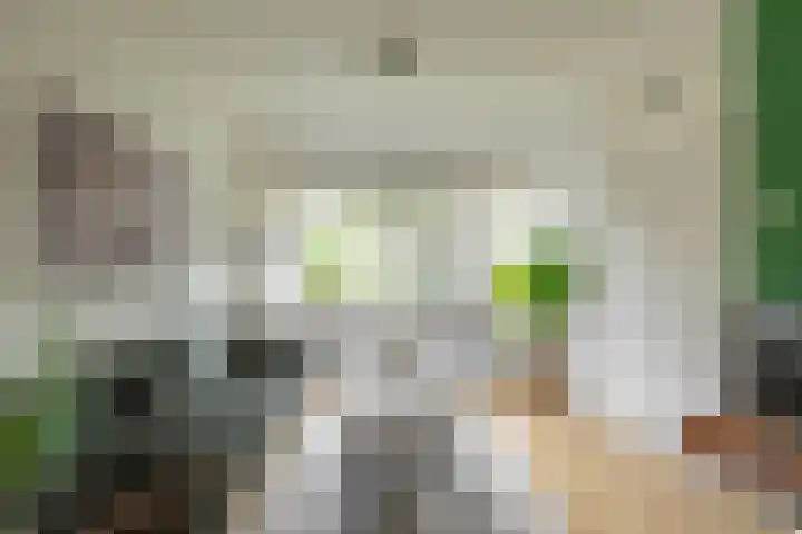Goudenregenplein 5 Groningen thumbnail 7