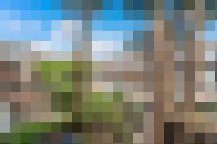 Goudenregenplein 6 Den Haag thumbnail 14
