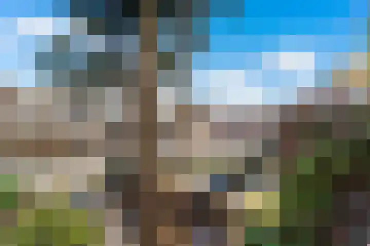 Goudenregenplein 6 Den Haag thumbnail 15