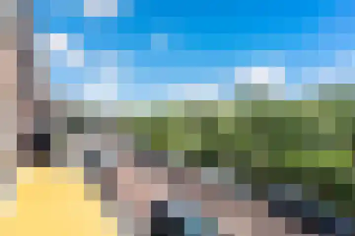 Goudenregenplein 6 Den Haag thumbnail 4