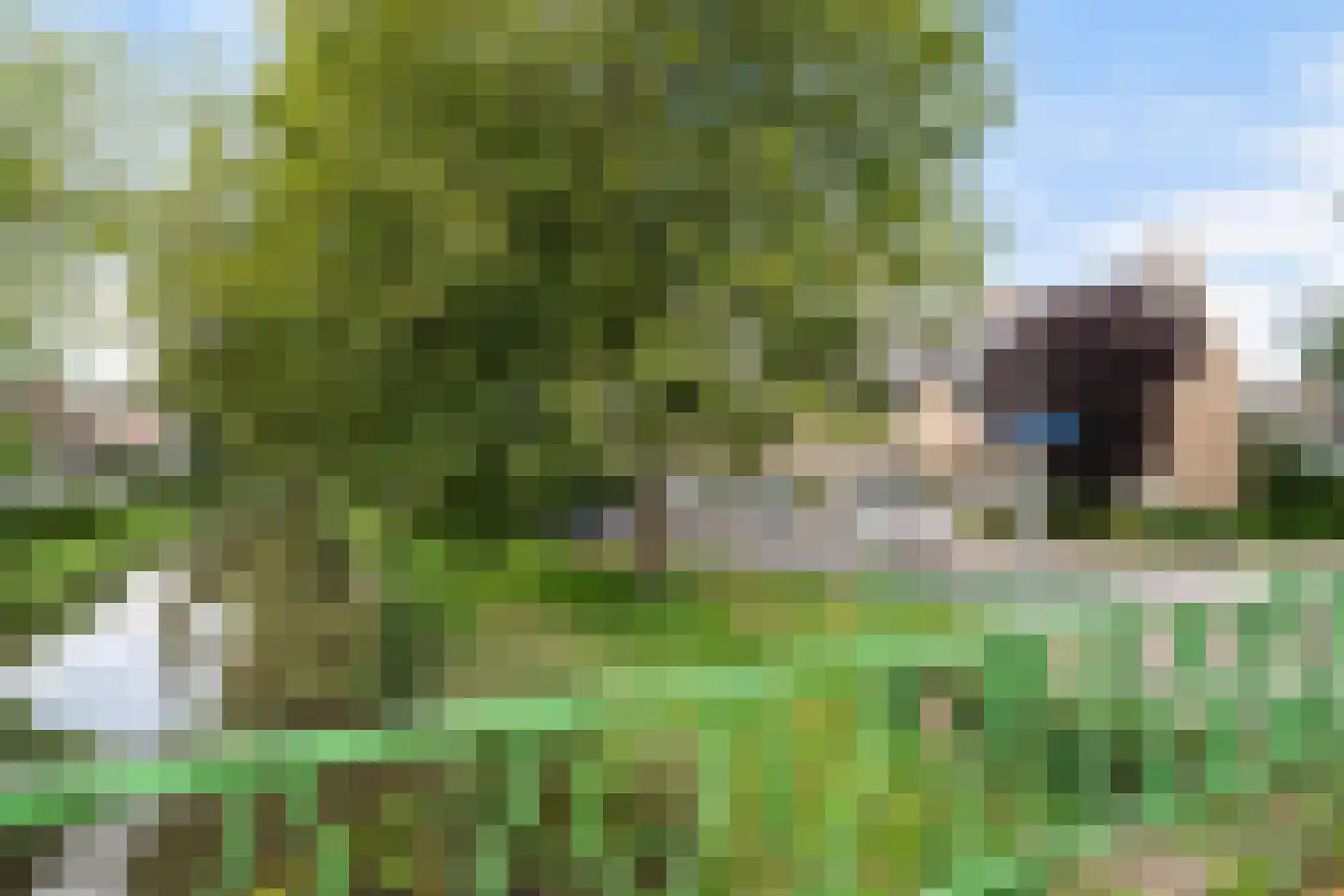 Goudenregensingel 19 Pijnacker thumbnail 35