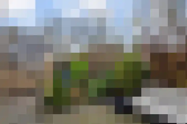 Goudenregensingel 25 Pijnacker thumbnail 14