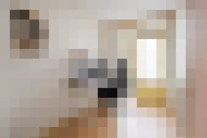 Goudenregensingel 25 Pijnacker thumbnail 18