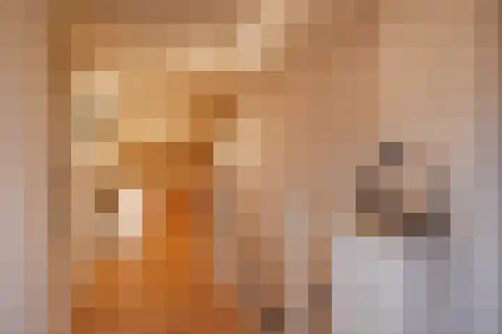 Goudenregensingel 25 Pijnacker thumbnail 23