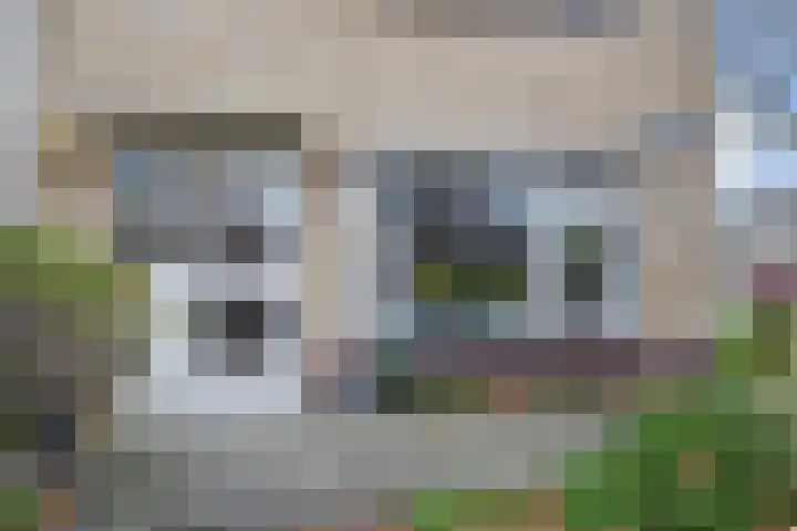 Goudenregensingel 25 Pijnacker thumbnail 24