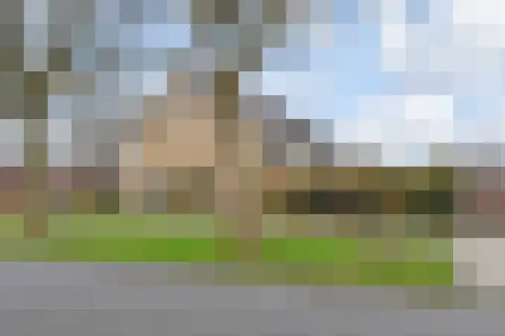 Goudenregensingel 25 Pijnacker thumbnail 25