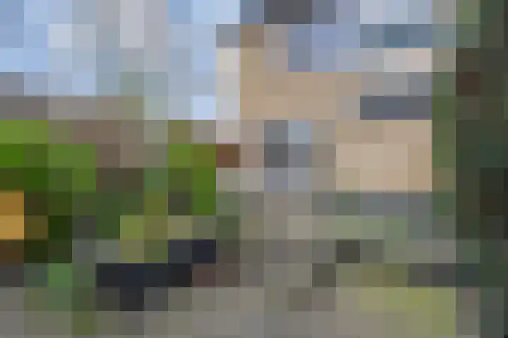 Goudenregensingel 25 Pijnacker thumbnail 4