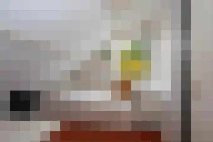 Goudenregenstraat 10 Borne thumbnail 21