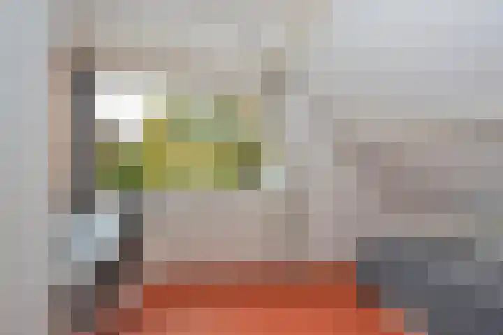 Goudenregenstraat 10 Borne thumbnail 23
