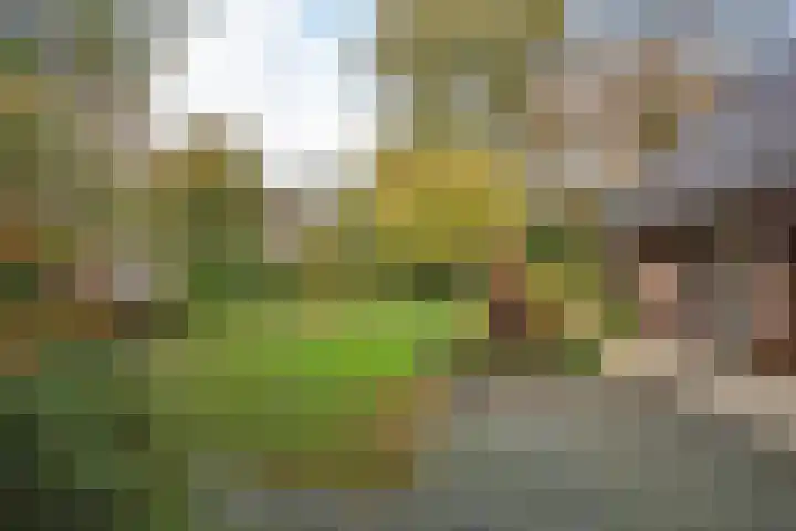 Goudenregenstraat 10 Borne thumbnail 35