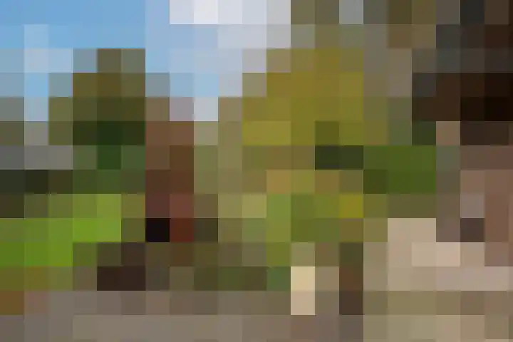 Goudenregenstraat 10 Borne thumbnail 36