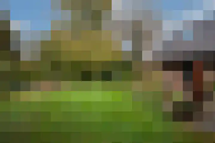 Goudenregenstraat 10 Borne thumbnail 37