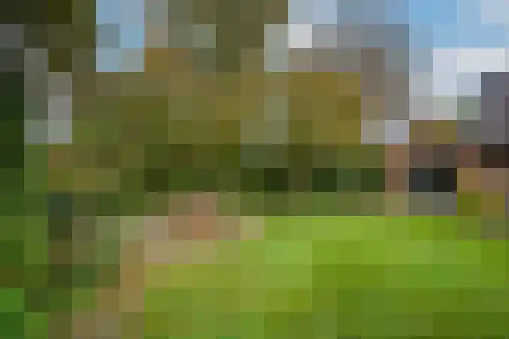 Goudenregenstraat 10 Borne thumbnail 38