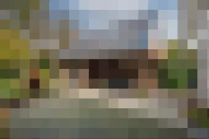 Goudenregenstraat 10 Borne thumbnail 4