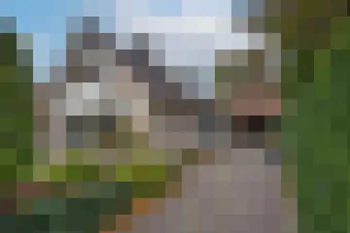 Goudenregenstraat 10 Borne thumbnail 40