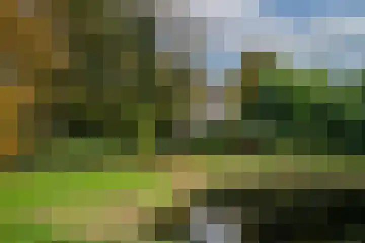 Goudenregenstraat 10 Borne thumbnail 42