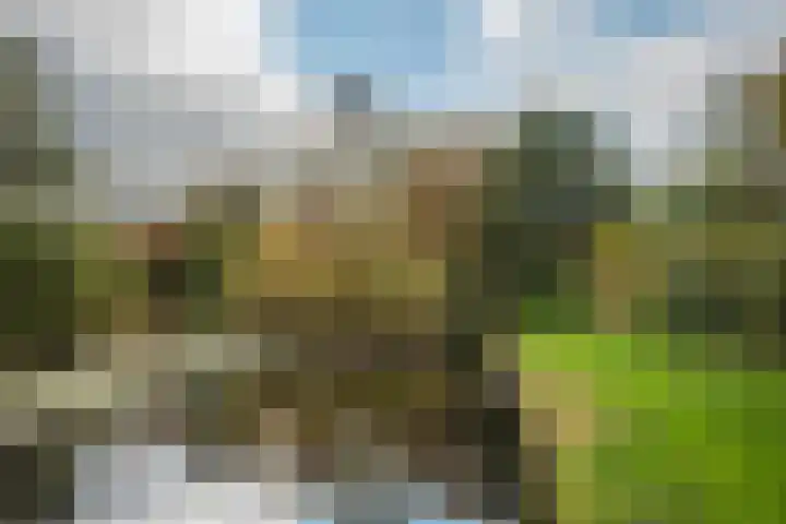 Goudenregenstraat 10 Borne thumbnail 44