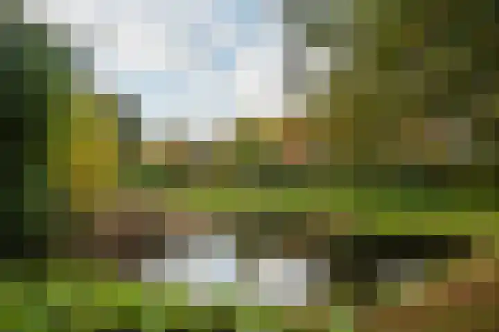 Goudenregenstraat 10 Borne thumbnail 45