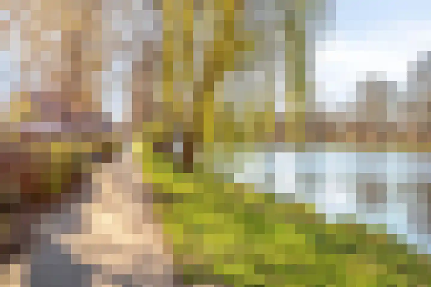 Goudenregenstraat 102 Capelle aan den IJssel thumbnail 24