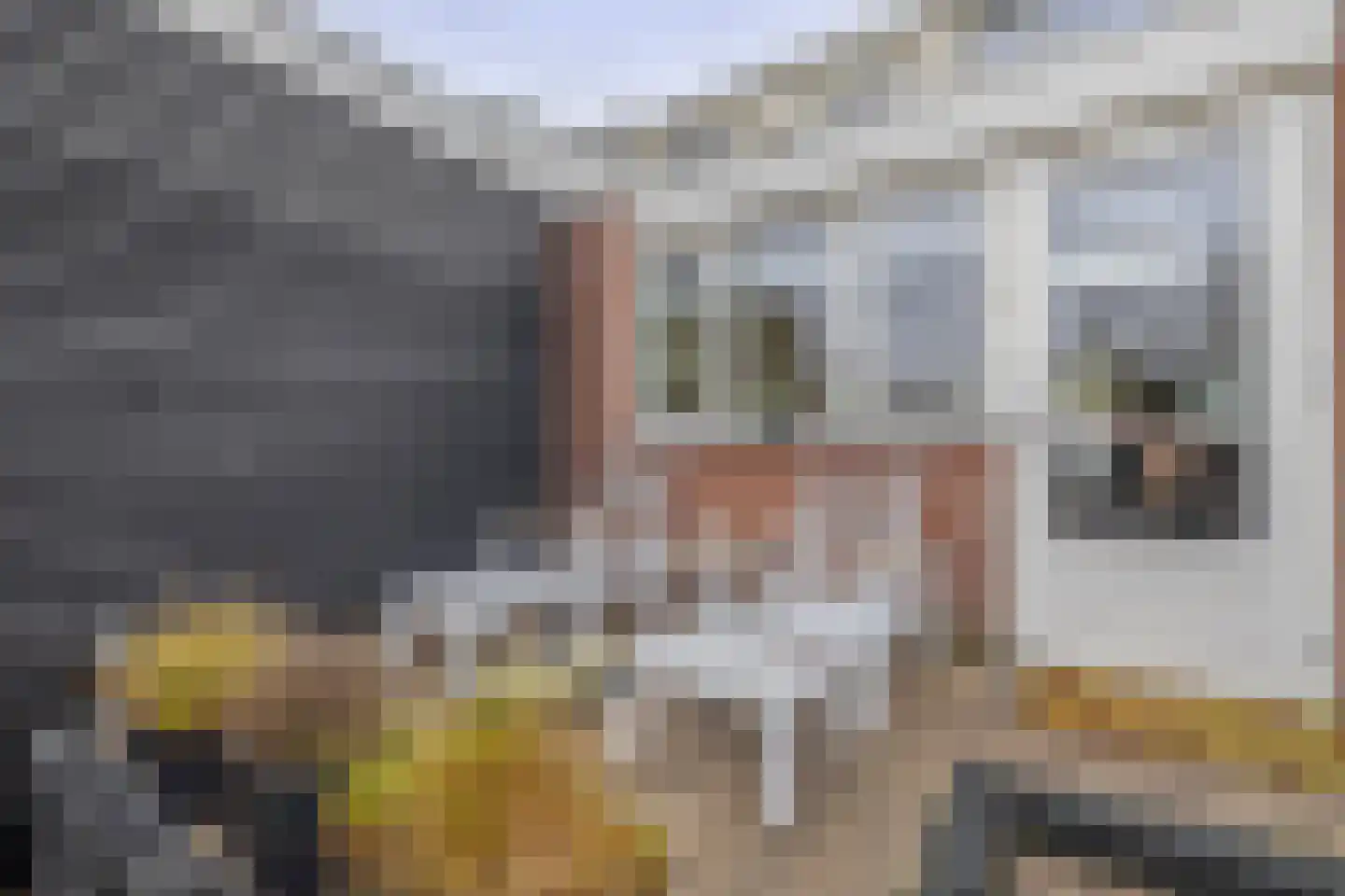 Goudenregenstraat 106 Capelle aan den IJssel thumbnail 33