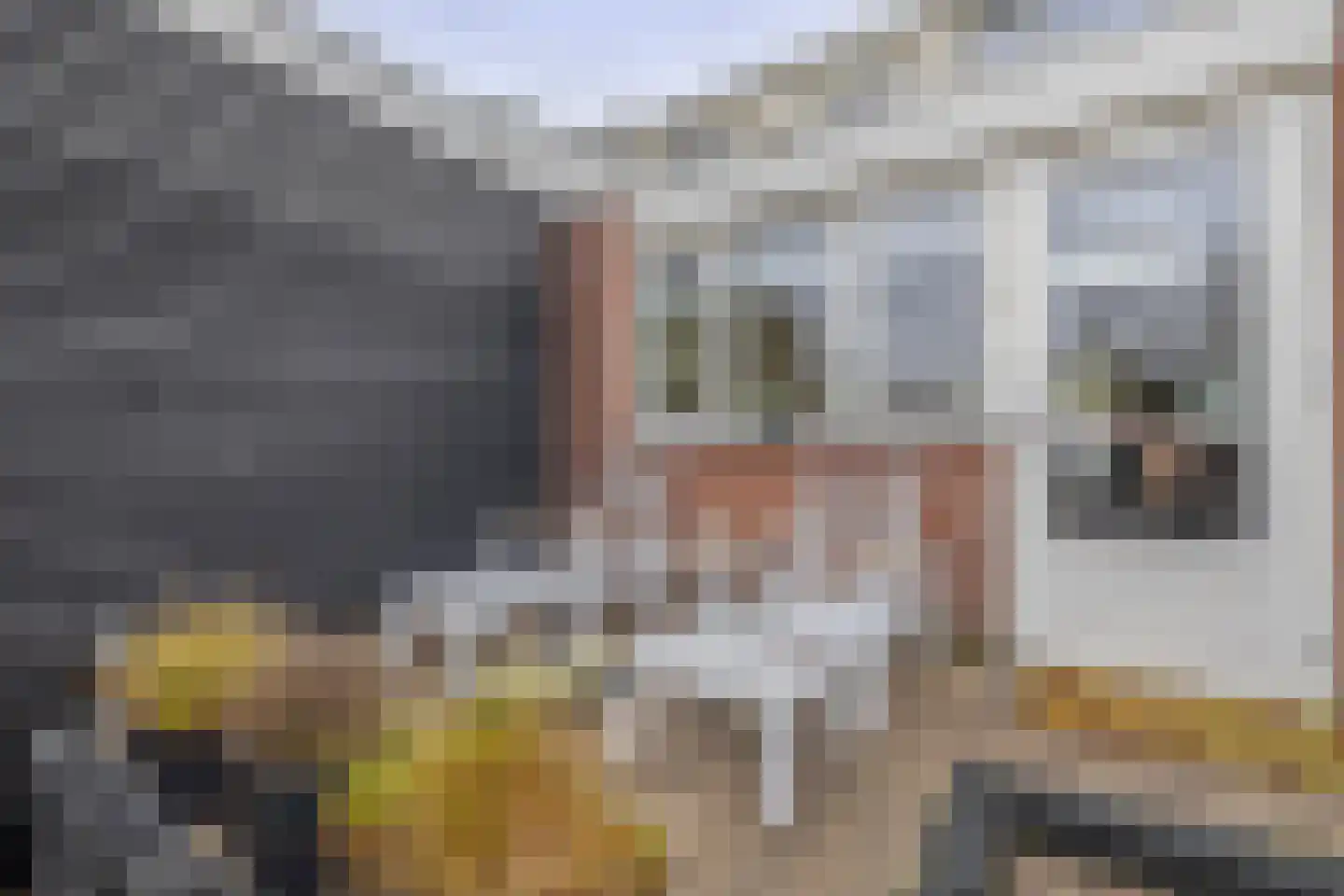 Goudenregenstraat 106 Capelle aan den IJssel thumbnail 33