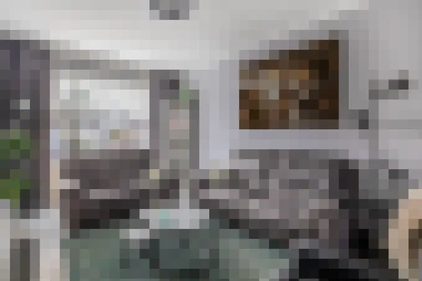 Goudenregenstraat 106 Capelle aan den IJssel thumbnail 9